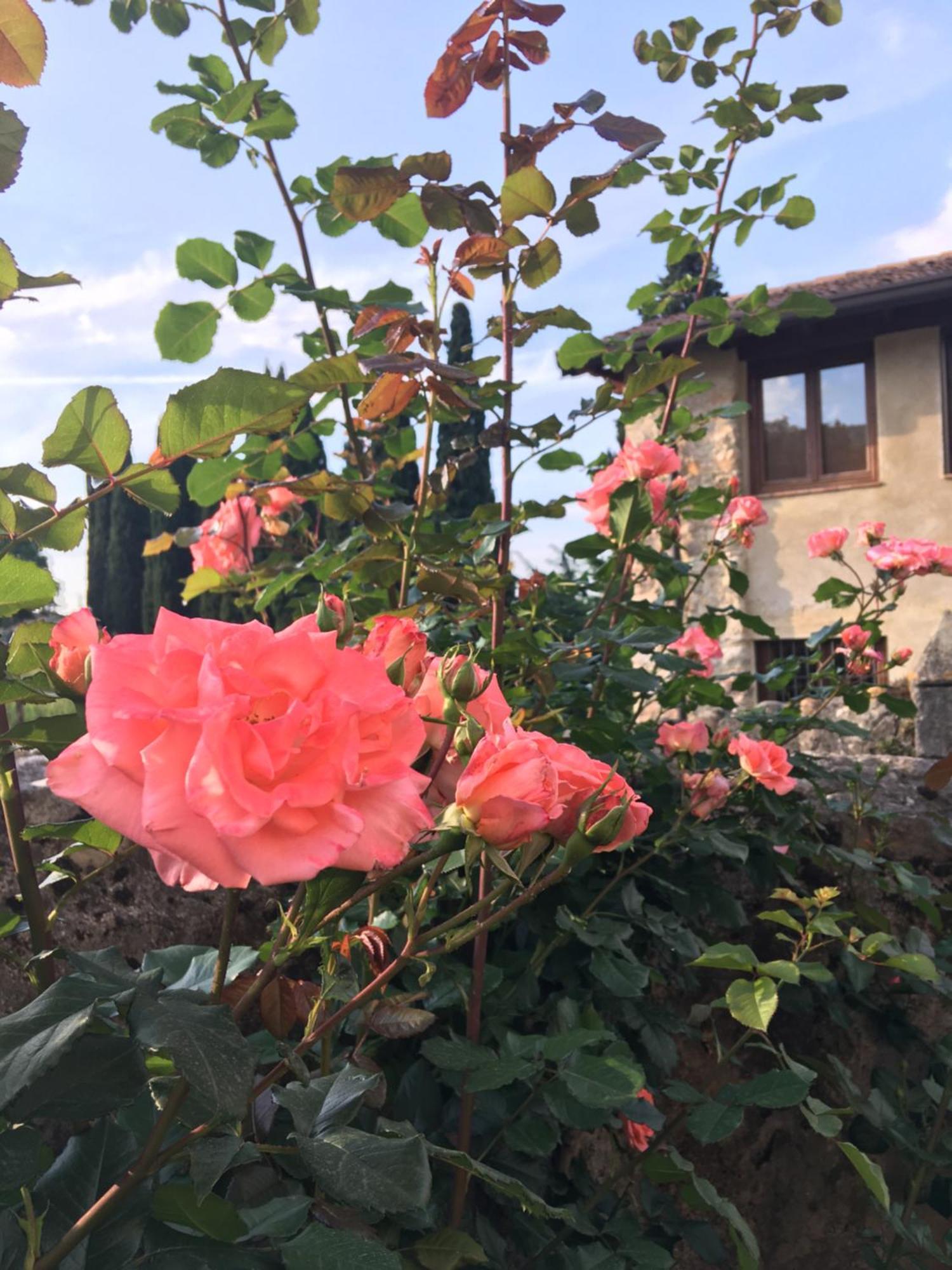 Agriturismo Val Костермано Экстерьер фото